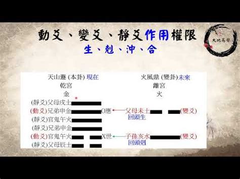 動爻意義|【動爻意義】動爻的奧秘：揭開《周易》卜卦中的動爻意義